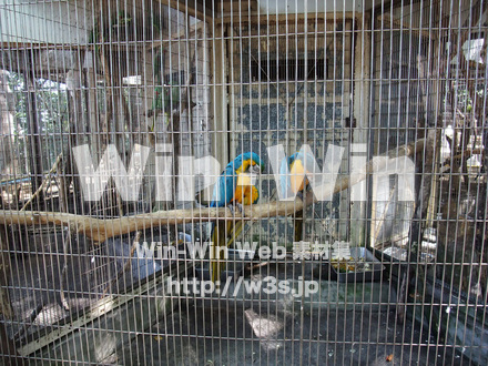 夢見ヶ崎動物公園の写真素材 W-002885