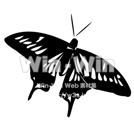 蝶のシルエット素材 W-004710