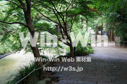 生田緑地の写真素材 W-004821