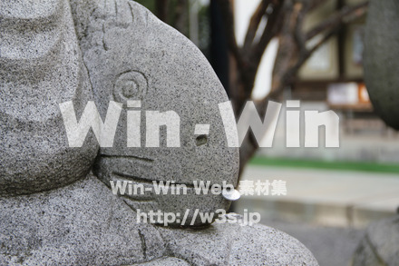 琴平神社_石像・魚の写真素材 W-004761