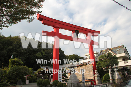 琴平神社_全景の写真素材 W-004760