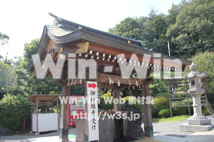 琴平神社_手水舎の写真素材 W-004771