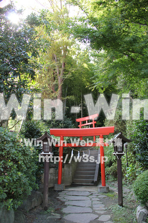 琴平神社_稲荷社への小路の写真素材 W-004786