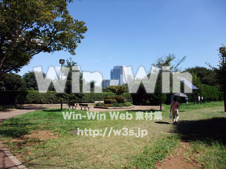 夢見ケ崎動物公園-白山古墳の写真素材 W-006785