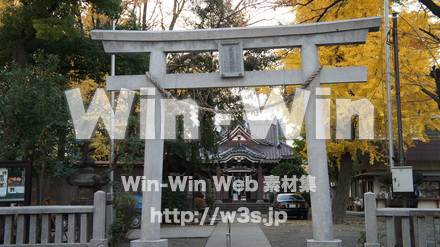 若宮神社（大師）の写真素材 W-008466
