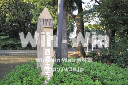 西福寺古墳の写真素材 W-013231