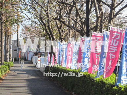 ヨネッティ-王禅寺の写真素材 W-013303