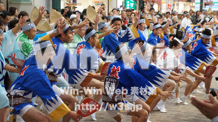 阿波踊りの写真素材 W-012111