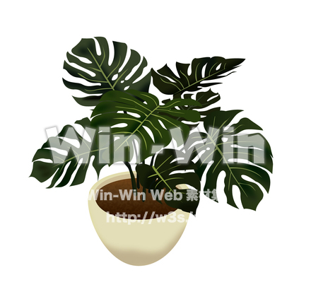 観葉植物のCG・イラスト素材 W-013589