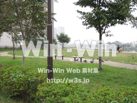 多摩川見晴らし公園の写真素材 W-012588