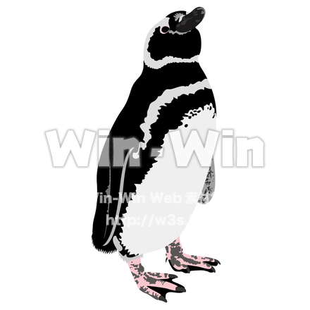 ペンギンのCG・イラスト素材 W-014178