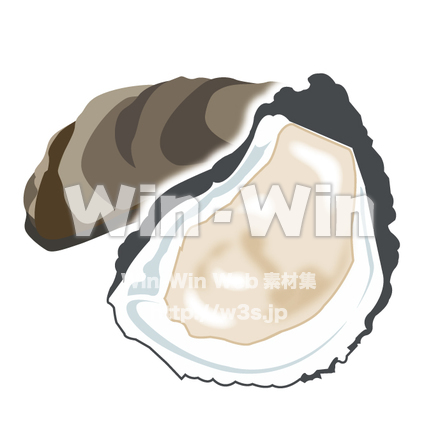 生牡蠣のCG・イラスト素材 W-016989