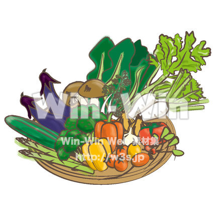 野菜の盛り合わせのCG・イラスト素材 W-018976