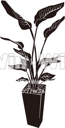 観葉植物のシルエット素材 W-022781