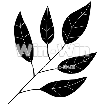 ユーカリの葉っぱのシルエット素材 W-023795
