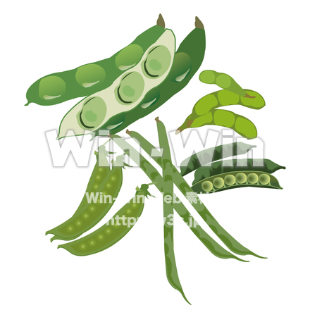 豆科野菜5種のCG・イラスト素材 W-024074