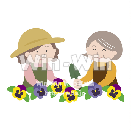 花を植えるシニア女性のCG・イラスト素材 W-024882