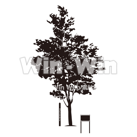 植樹のブナの木のシルエット素材 W-027544