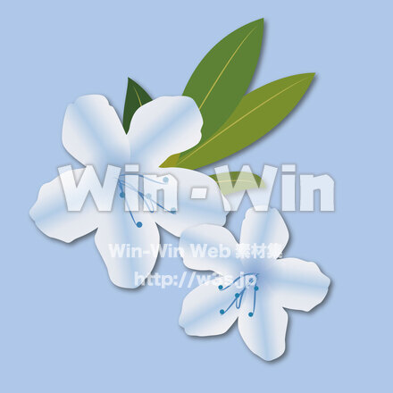 サツキの花（青）のCG・イラスト素材 W-027751
