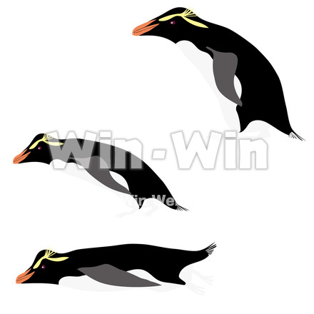 ペンギン３羽のCG・イラスト素材 W-029238
