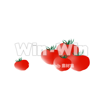 トマトのCG・イラスト素材 W-028996