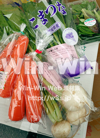野菜の写真素材 W-029123