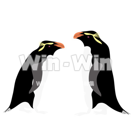 ペンギン２羽のCG・イラスト素材 W-029236