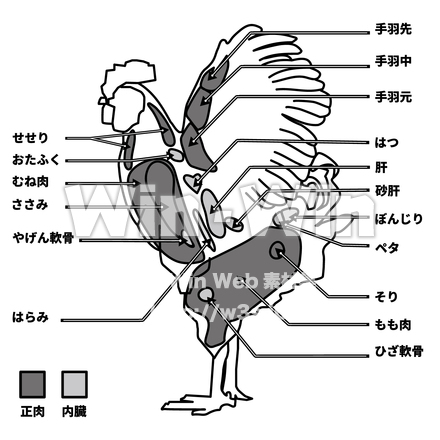鶏肉説明図のシルエット素材 W-029451