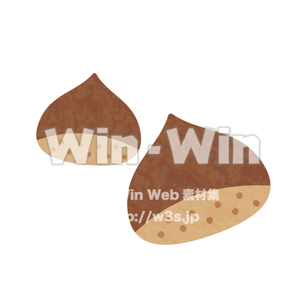 栗のCG・イラスト素材 W-030889